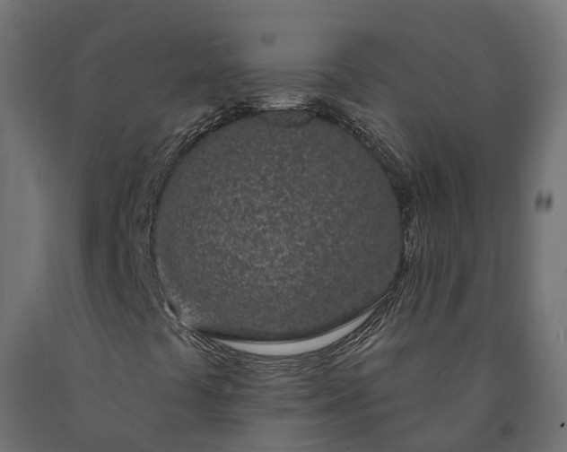 X0000090751441200708031557