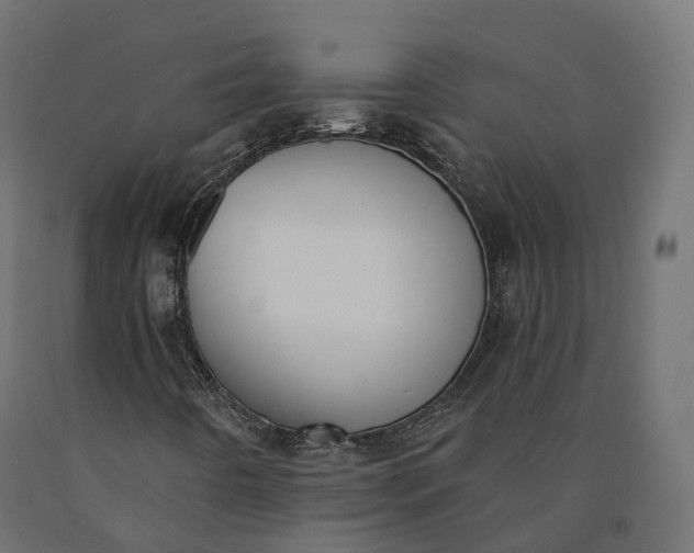 X0000090751442200708031557