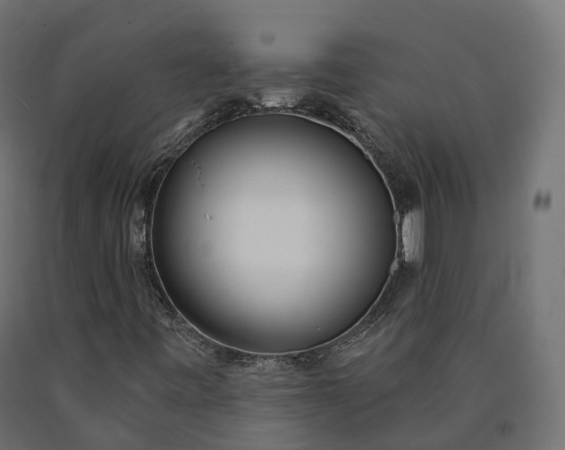 X0000090751443200708031557