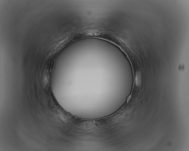 X0000090751444200708031557