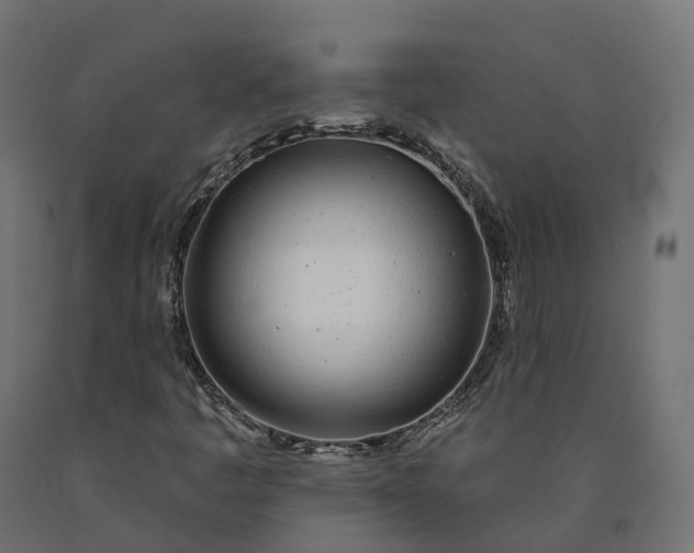 X0000090751445200708031557