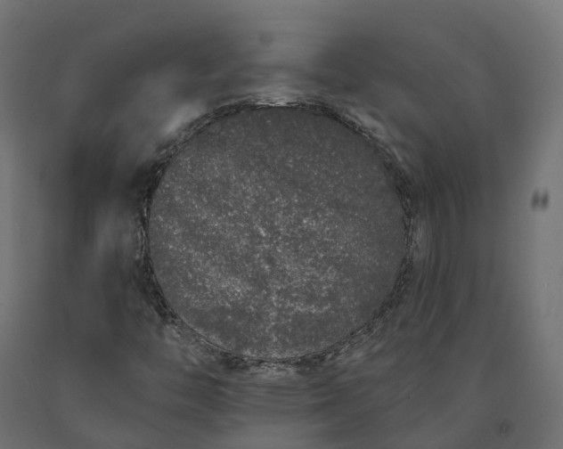 X0000090751446200708031557