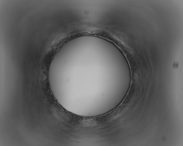 X0000090751447200708031557