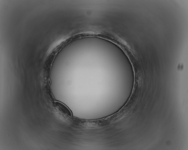 X0000090751448200708031557