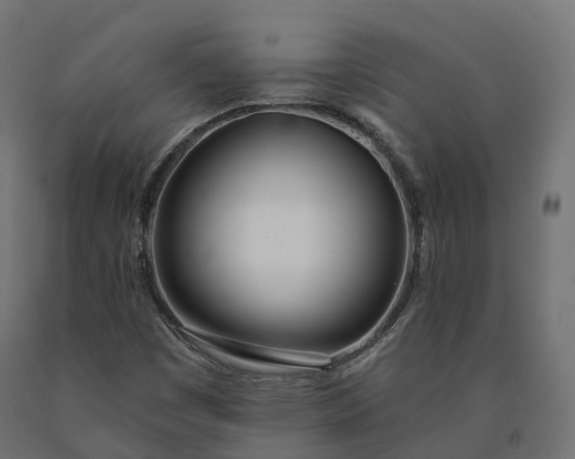 X0000090751449200708031557