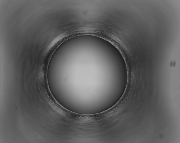 X0000090751450200708031557