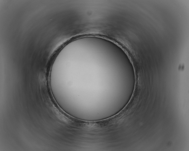 X0000090751452200708031557