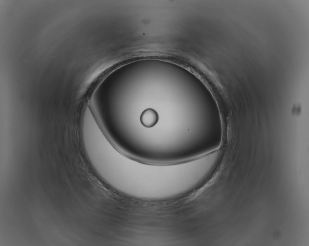 X0000090751453200708031557