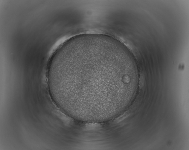 X0000090751454200708031557