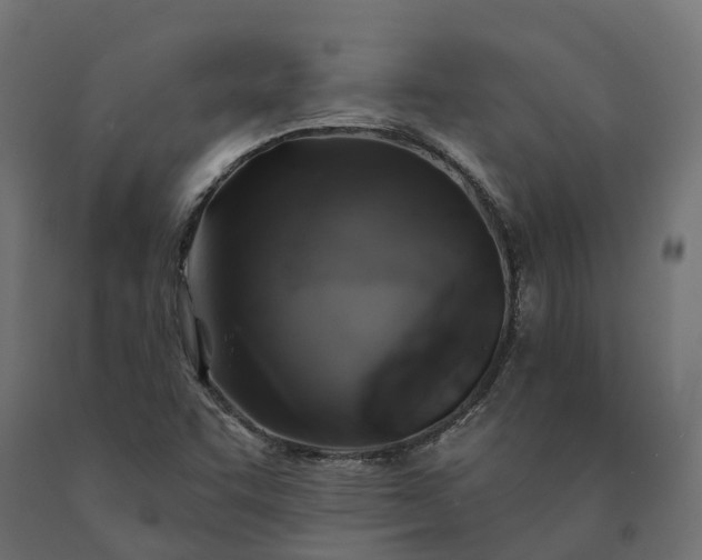 X0000090751455200708031557