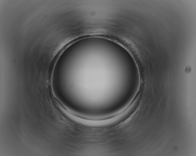 X0000090751457200708031557