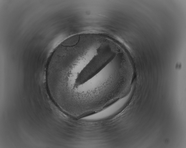 X0000090751459200708031557