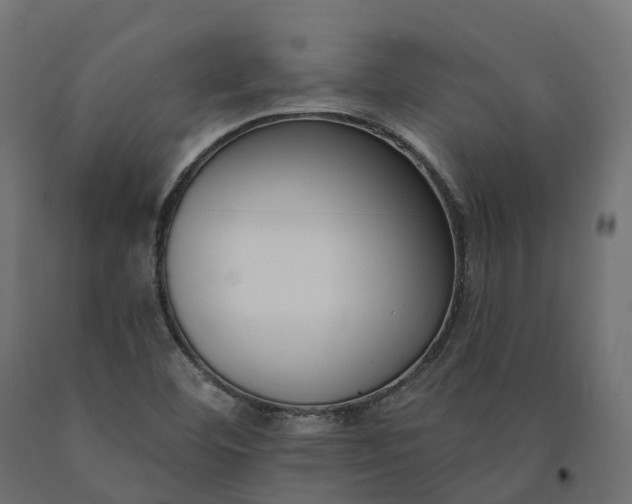 X0000090751460200708031557