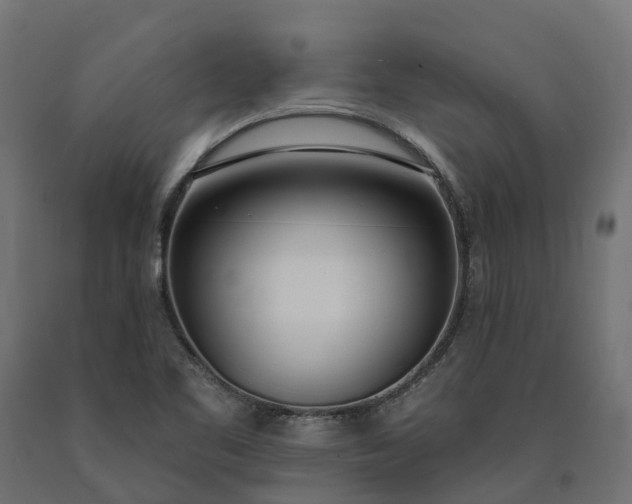 X0000090751461200708031557