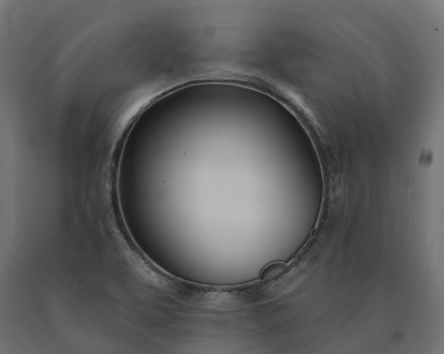 X0000090751463200708031557