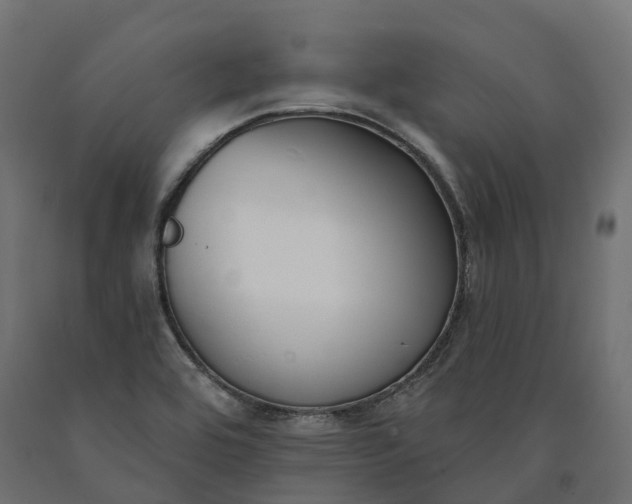 X0000090751464200708031557