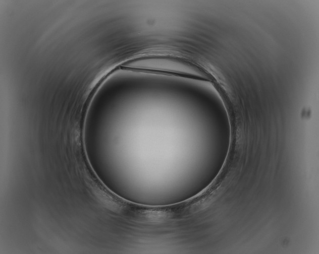 X0000090751465200708031557