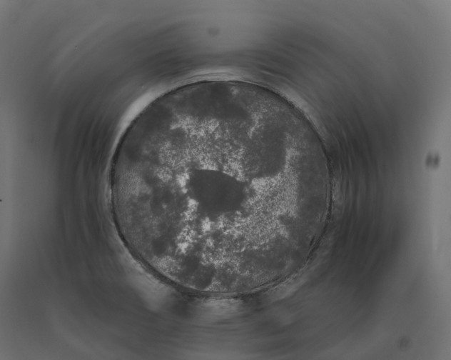 X0000090751466200708031557