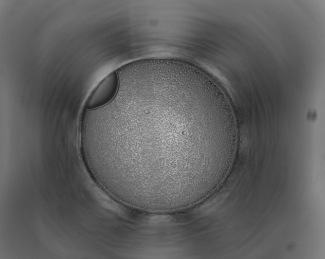 X0000090751467200708031557