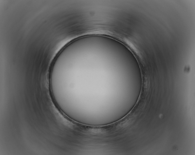 X0000090751468200708031557