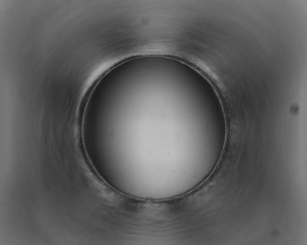 X0000090751469200708031557