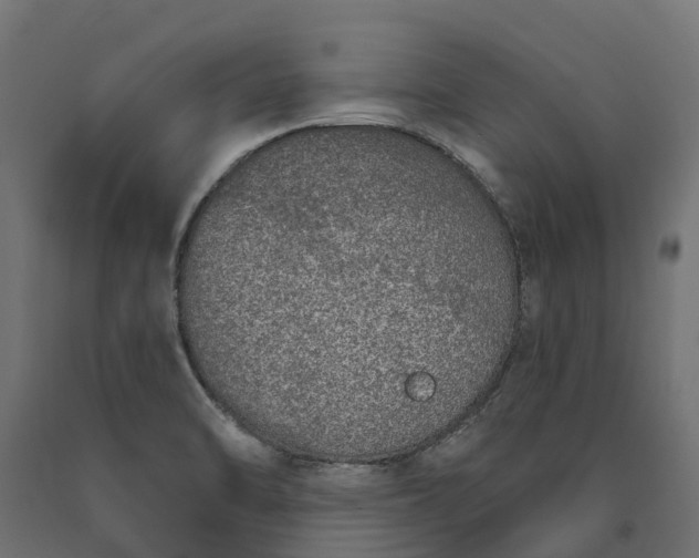 X0000090751470200708031557