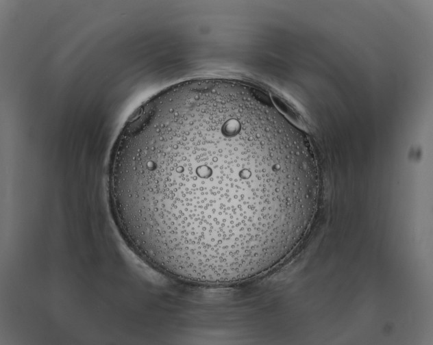 X0000090751471200708031557