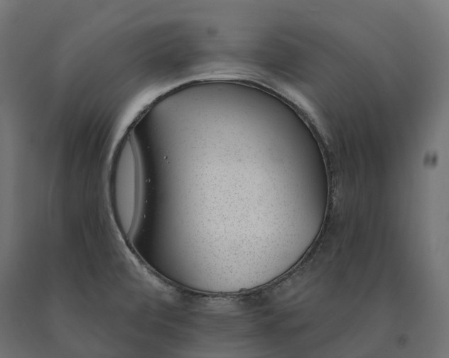 X0000090751472200708031557