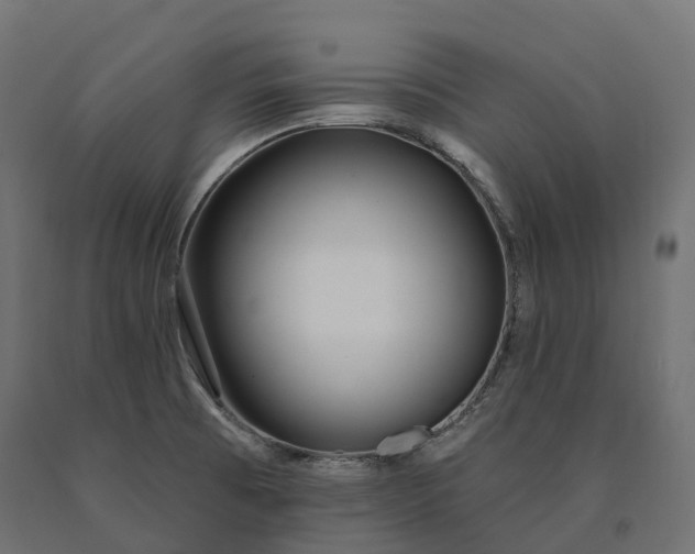 X0000090751473200708031557