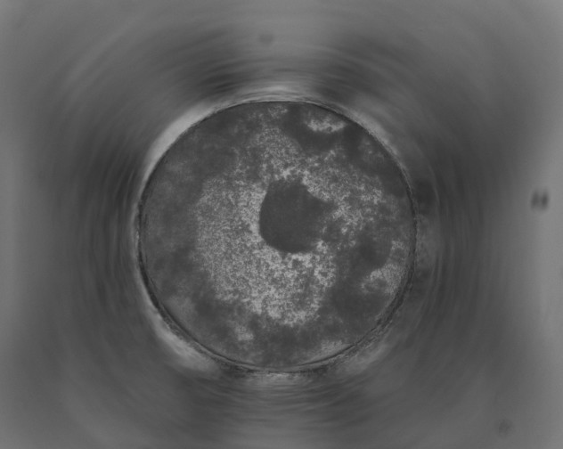 X0000090751474200708031557