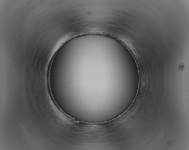 X0000090751475200708031557