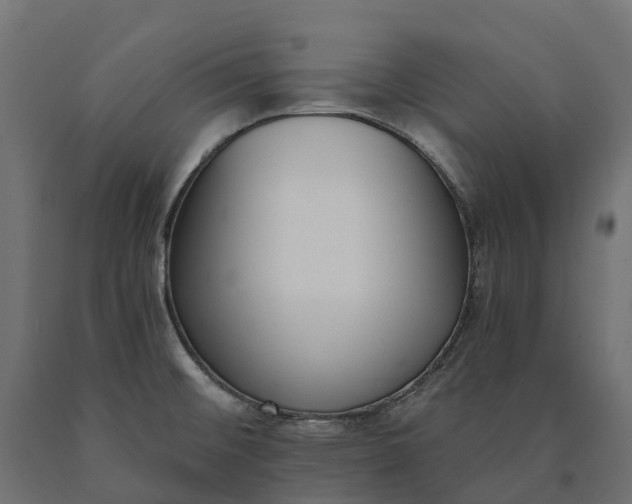 X0000090751476200708031557