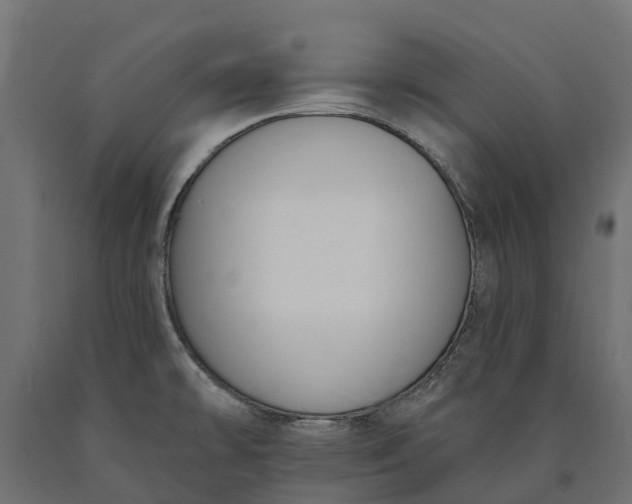 X0000090751478200708031557