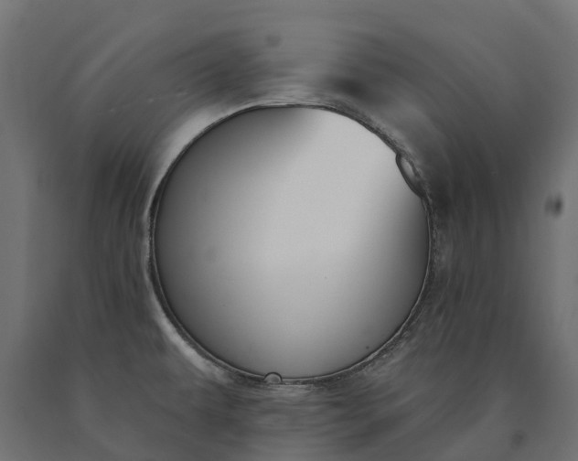 X0000090751479200708031557