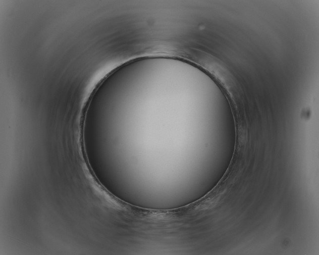 X0000090751480200708031557