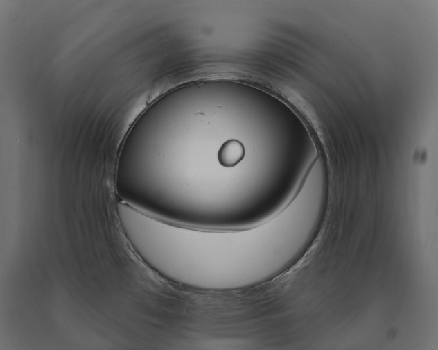 X0000090751481200708031557