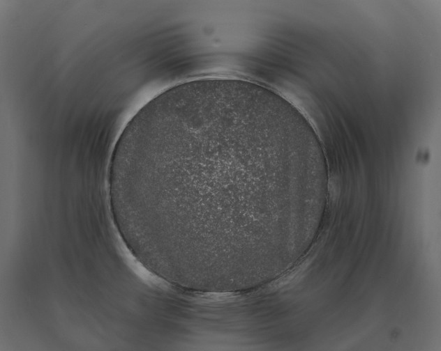 X0000090751482200708031557