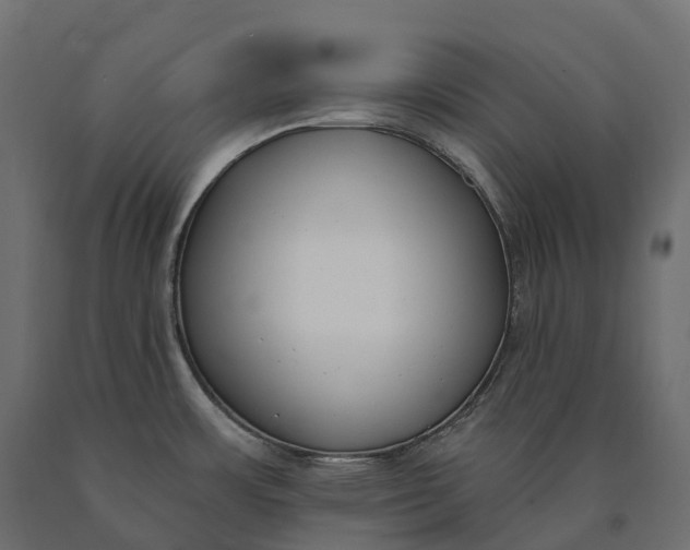 X0000090751483200708031557