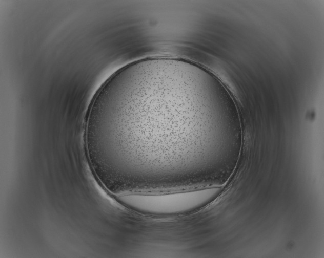 X0000090751484200708031557