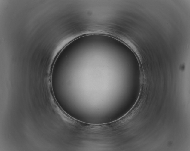 X0000090751485200708031557