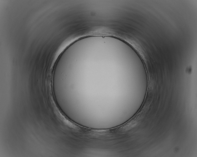 X0000090751486200708031557