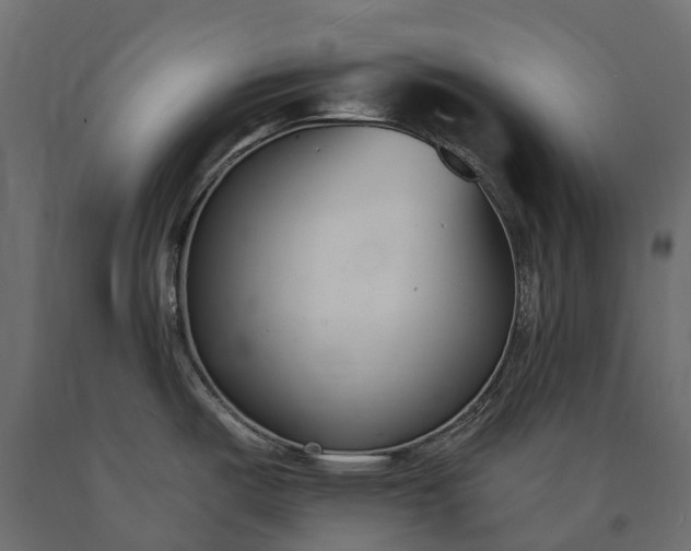 X0000090751487200708031557