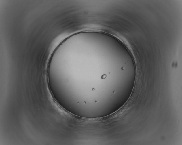 X0000090751488200708031557