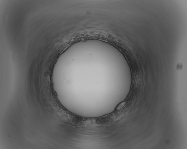 X0000090751489200708031556