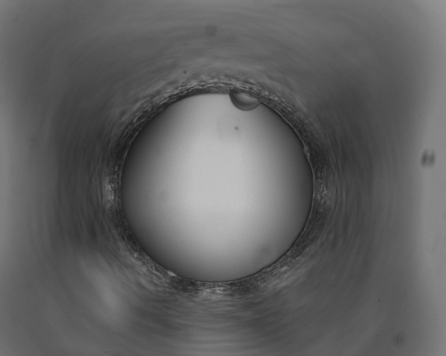 X0000090751490200708031556