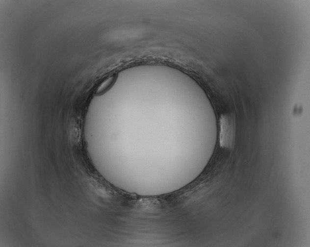 X0000090751491200708031556