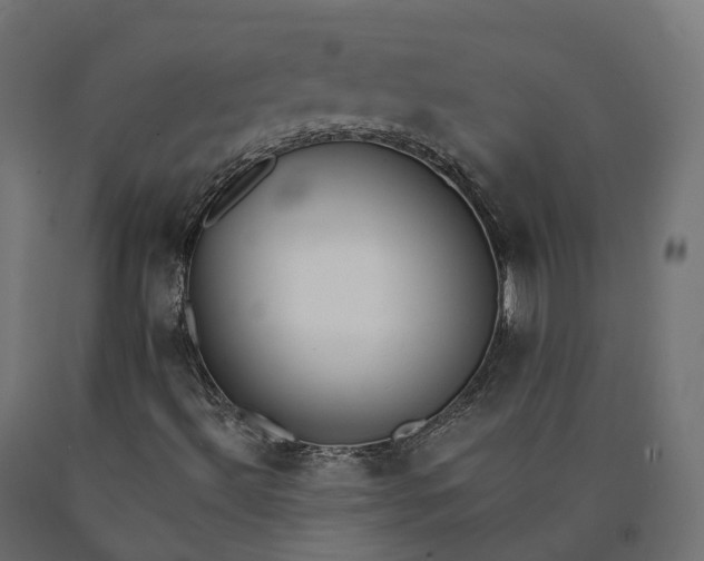 X0000090751492200708031556