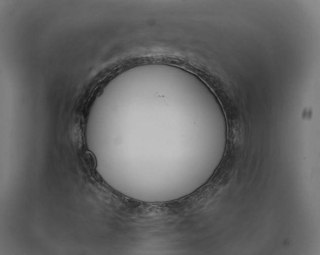 X0000090751493200708031556