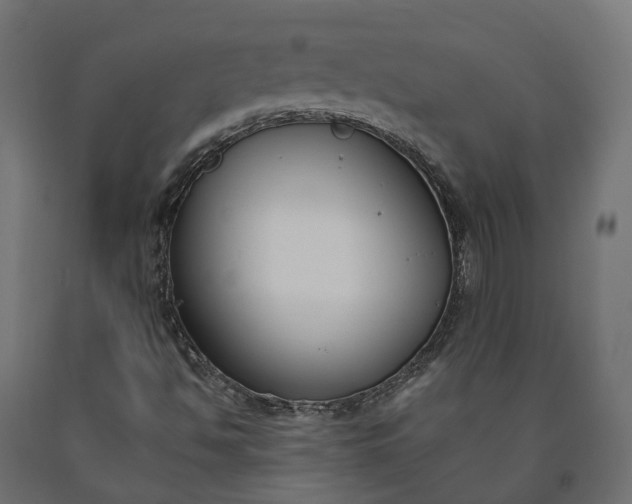 X0000090751494200708031556