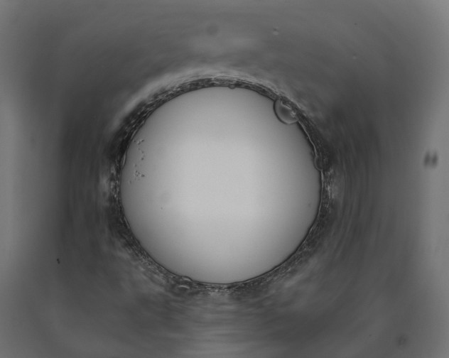 X0000090751495200708031556